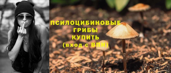 стафф Алексеевка